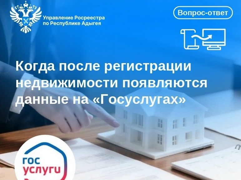 Вопрос-ответ: когда после регистрации недвижимости появляются данные на «Госуслугах».