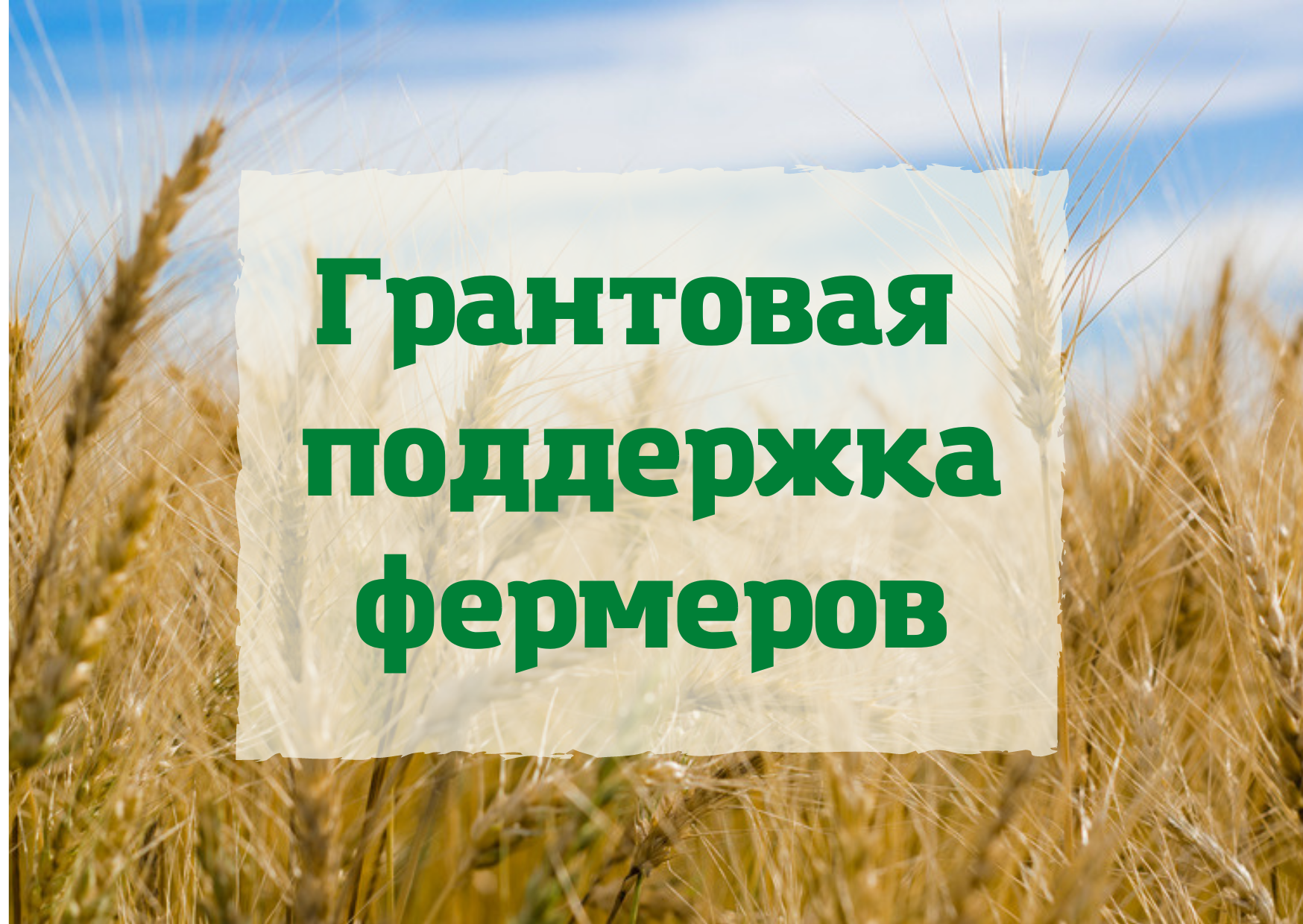 Грантовая поддержка фермерских хозяйств в 2026 году.