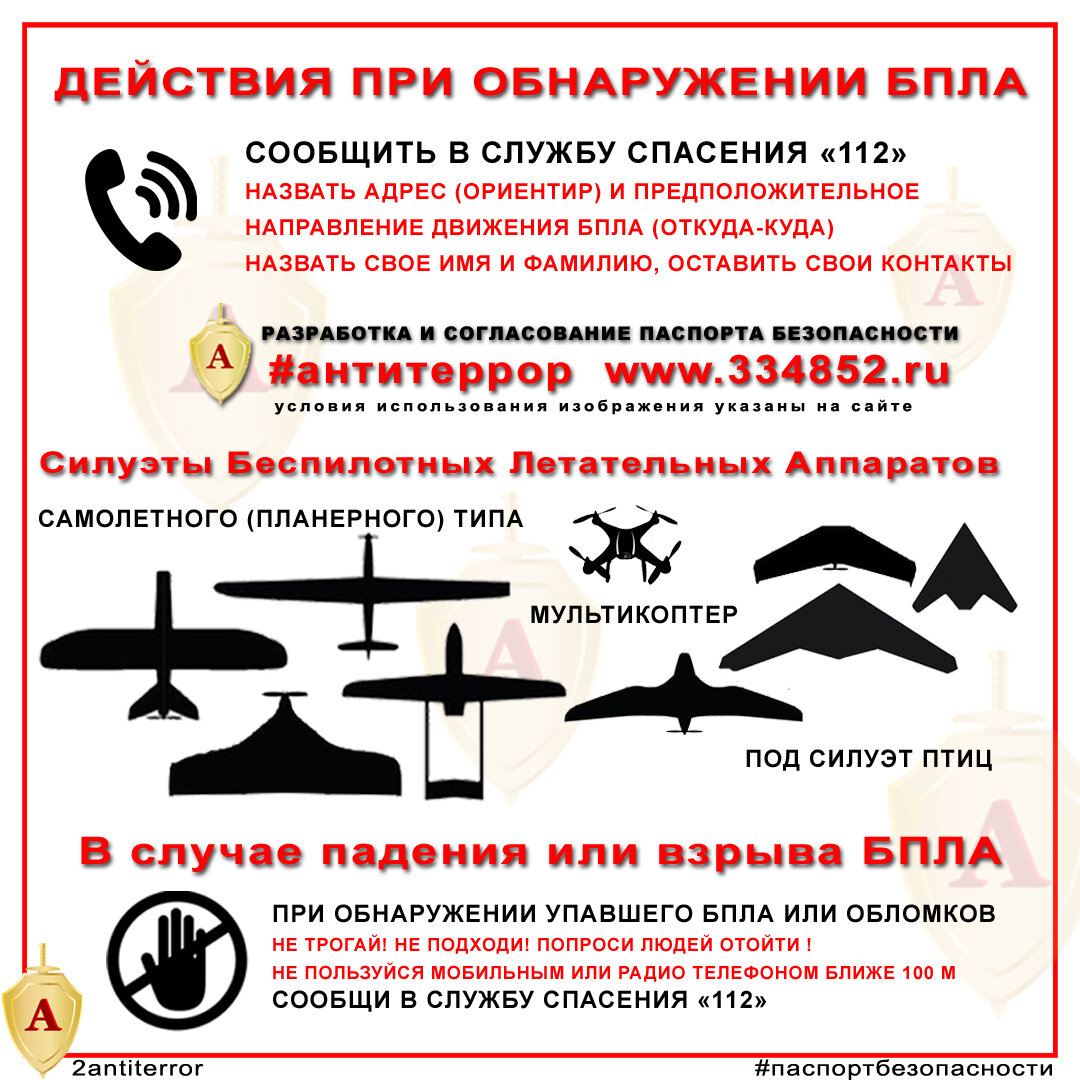 изображения силуэтов БПЛА и текстом алгоритм действий.