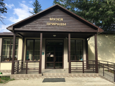 Музей Кавказского заповедника.